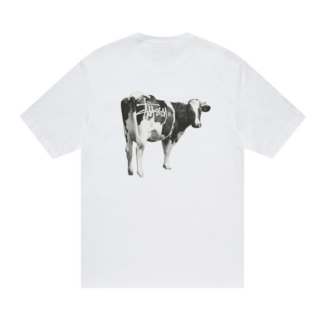Stussy Grassfed Tee 'White'