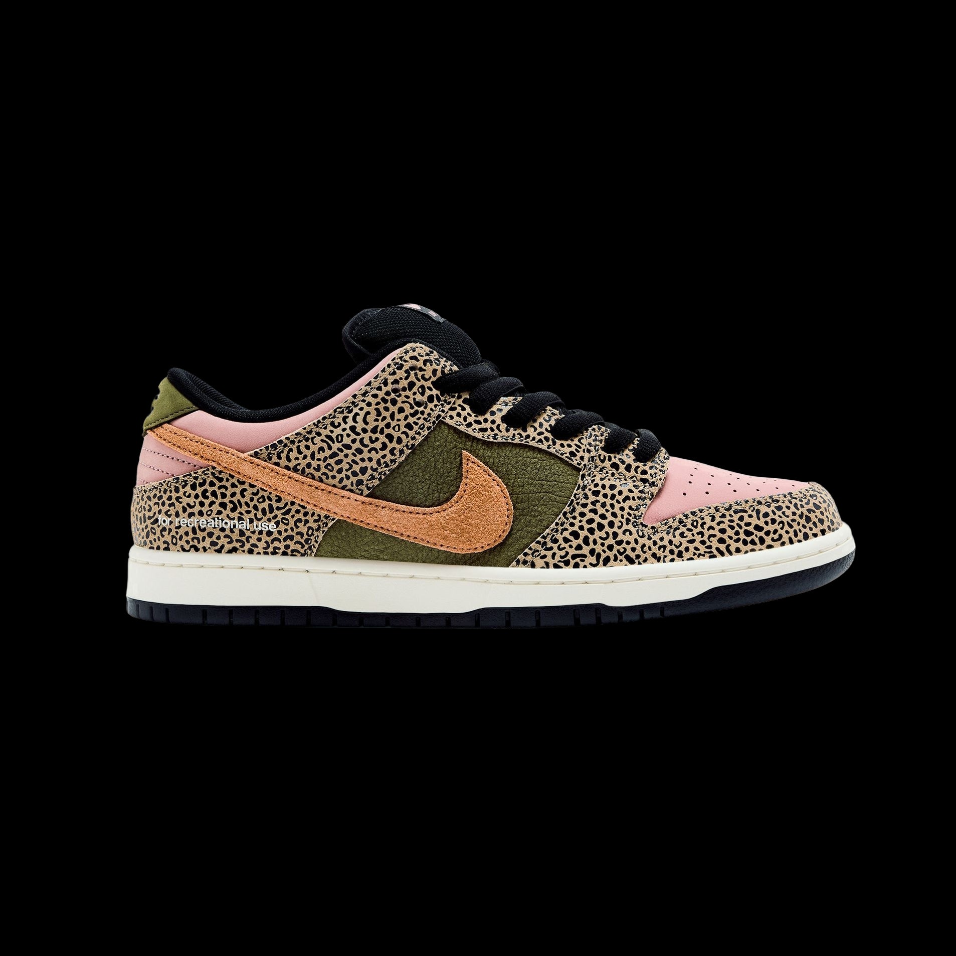 Arts-Rec x Dunk Low SB 'For Recreational Use'
